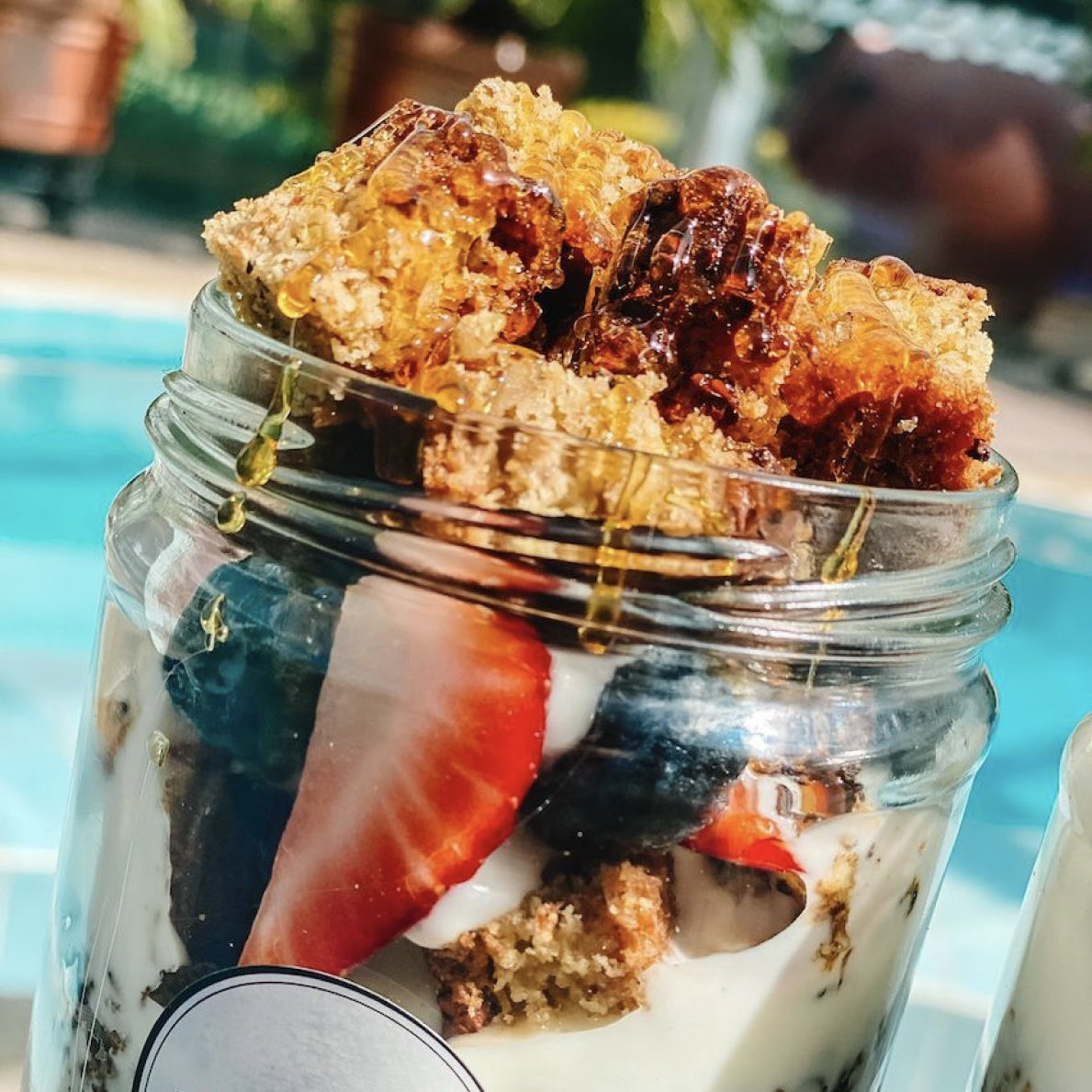 Brownie Parfait with Berries | Natural Granola & Greek Yogurt Protein